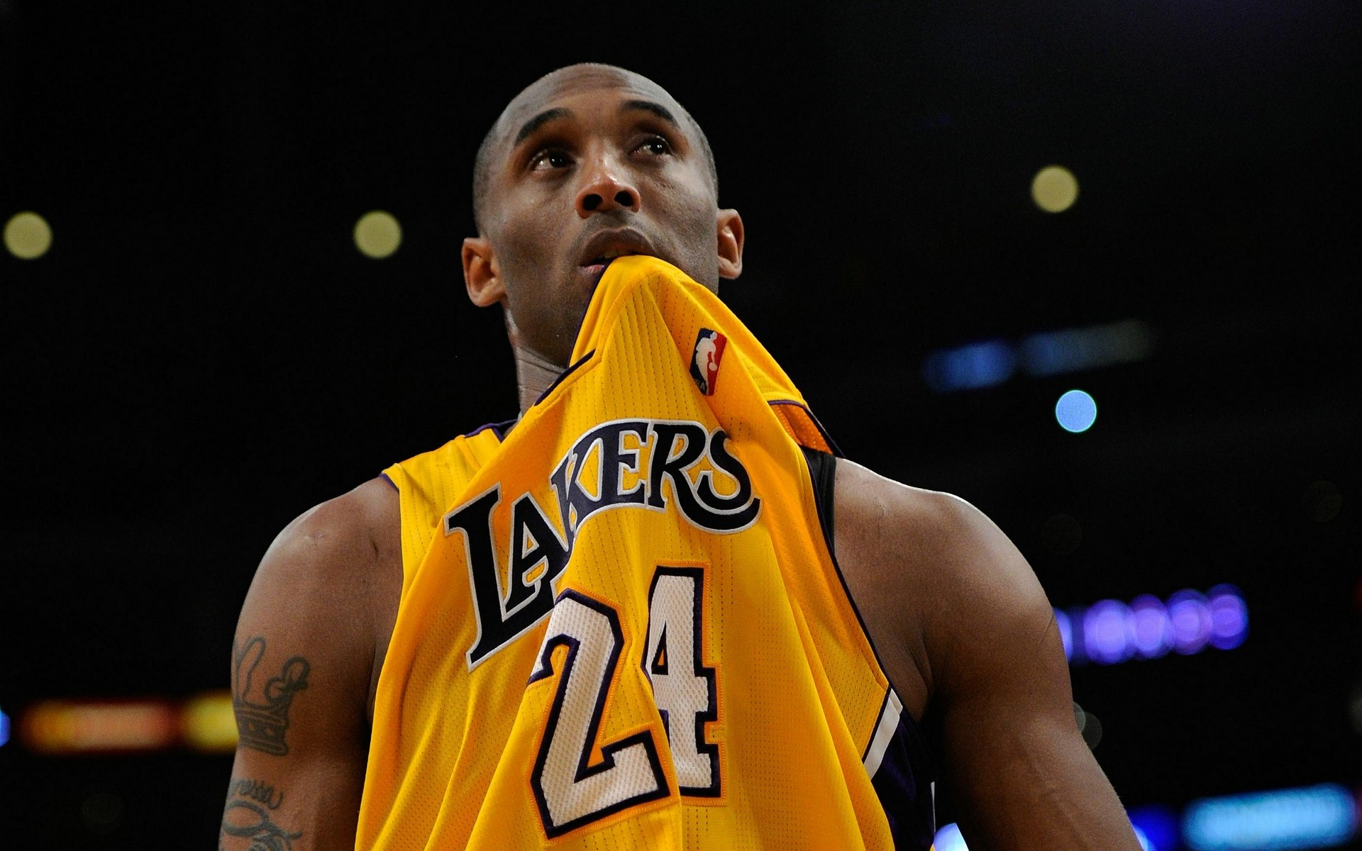 努力和汗水 努力和汗水